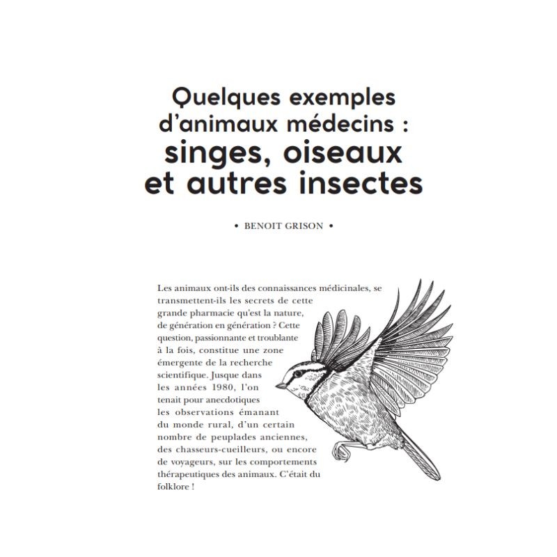 L'animal médecin - 10 spécialistes racontent les secrets du soin chez les animaux L'animal médecin - 10 spécialistes racontent les secrets du soin chez les animaux