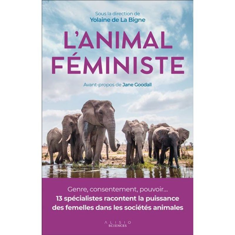 L'animal féministe - Genre, consentement, pouvoir...