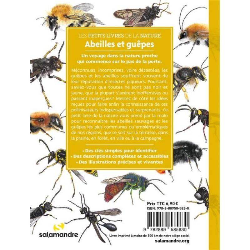 Abeilles et guêpes - Les petits livres de la nature Abeilles et guêpes - Les petits livres de la nature