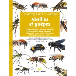 Abeilles et guêpes - Les petits livres de la nature
