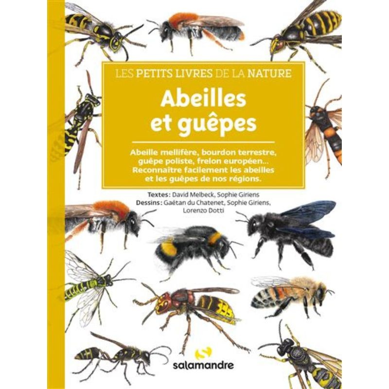 Abeilles et guêpes - Les petits livres de la nature