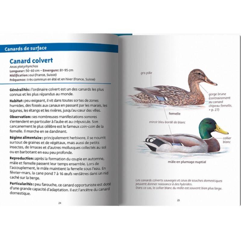 Oiseaux des lacs - Les petits livres de la nature Oiseaux des lacs - Les petits livres de la nature