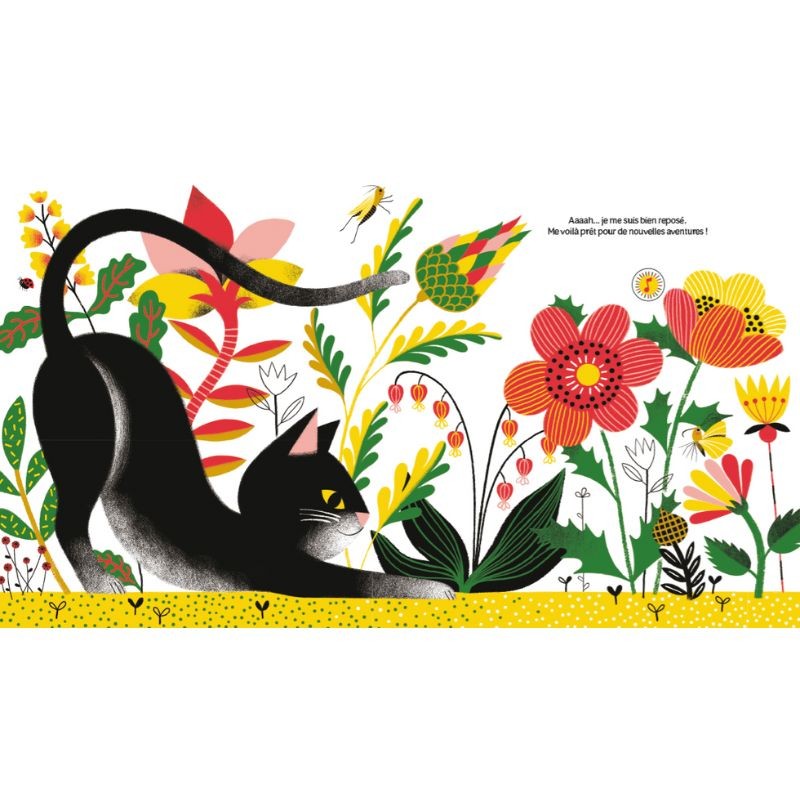 À l'heure de la sieste - Ecoute les animaux À l'heure de la sieste - Ecoute les animaux