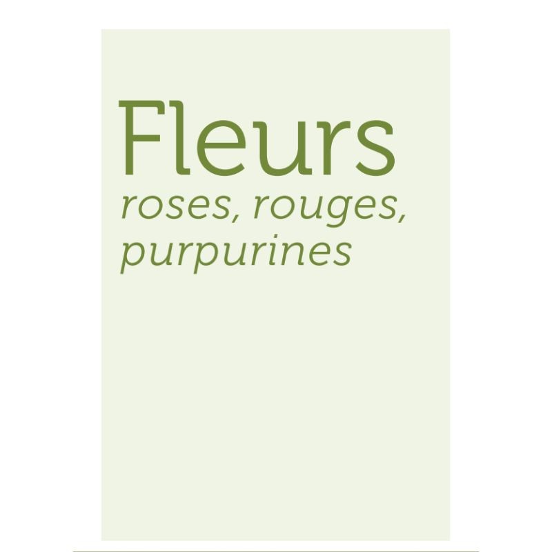 Fleurs des chemins - Connaître et reconnaître