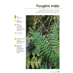 Fleurs des chemins - Connaître et reconnaître