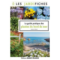Le guide pratique des plantes du bord de mer