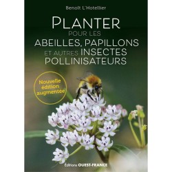Planter pour les abeilles, papillons et autres insectes pollinisateurs