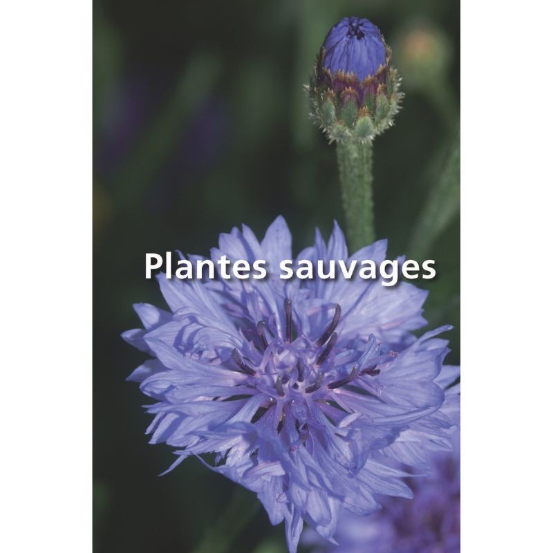 Les plantes et leurs noms - Étymologies insolites Les plantes et leurs noms - Étymologies insolites