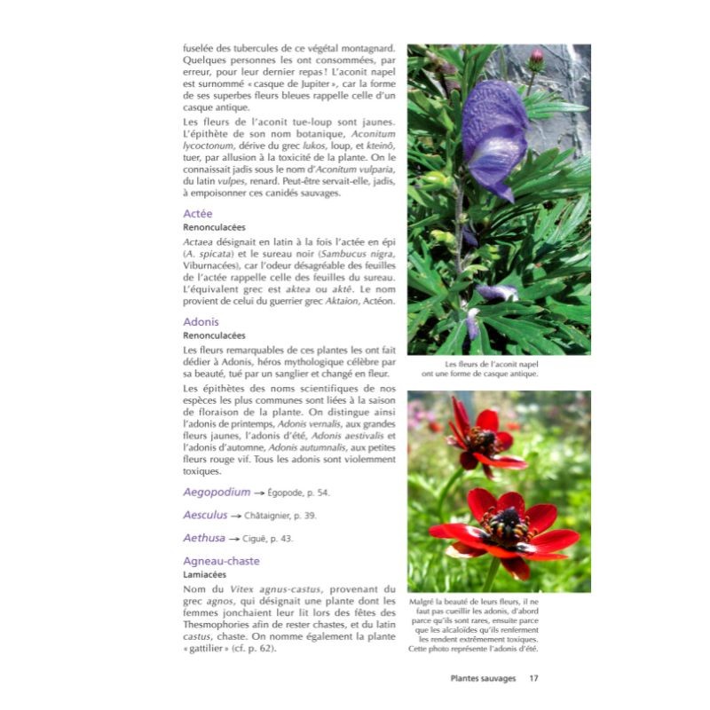 Les plantes et leurs noms - Étymologies insolites Les plantes et leurs noms - Étymologies insolites