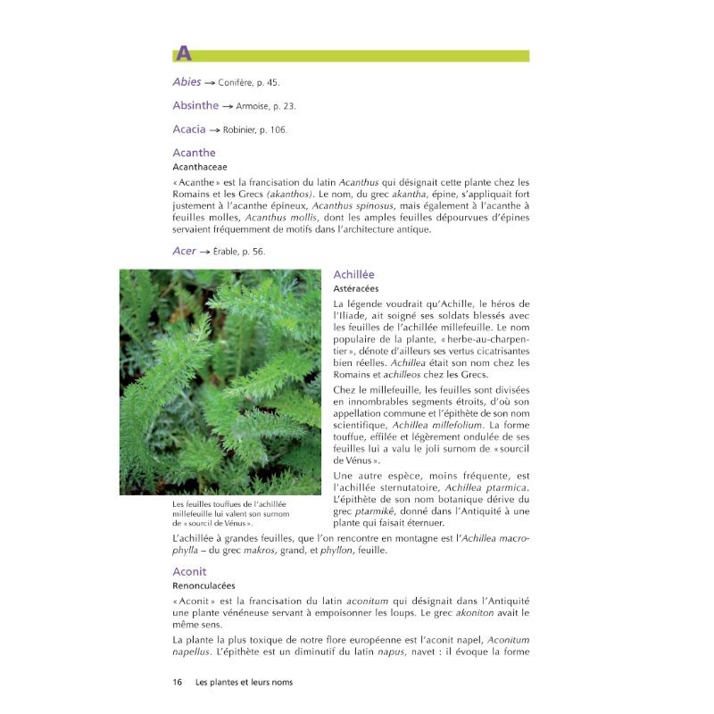 Les plantes et leurs noms - Étymologies insolites Les plantes et leurs noms - Étymologies insolites