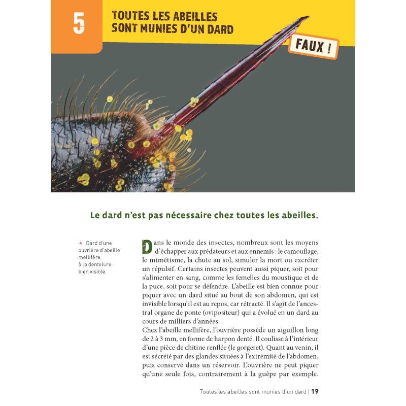 50 idées fausses sur les abeilles