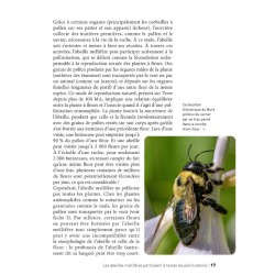 50 idées fausses sur les abeilles