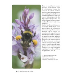 50 idées fausses sur les abeilles