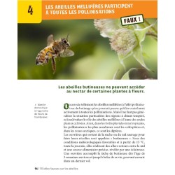 50 idées fausses sur les abeilles