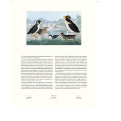 Le grand livre des Oiseaux d'Audubon Le grand livre des Oiseaux d'Audubon