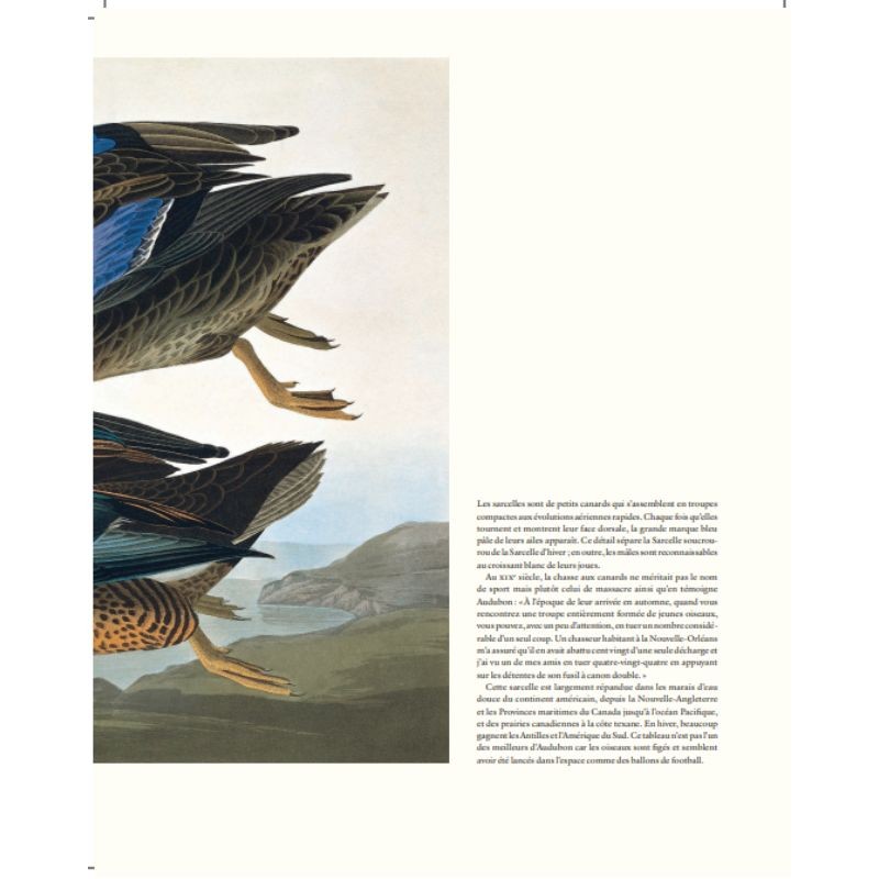 Le grand livre des Oiseaux d'Audubon Le grand livre des Oiseaux d'Audubon