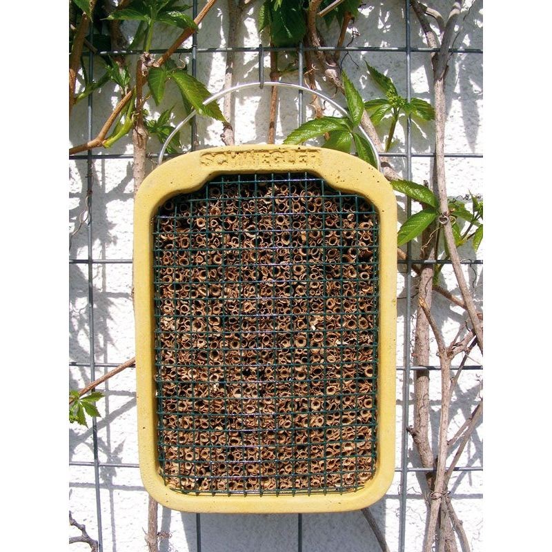 Gîte à insectes en roseau naturel - Schwegler (374/4)