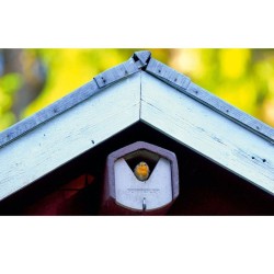 Nichoir semi-ouvert pour Rouge-gorge, Rouge-queue, ... - Schwegler (2HW - 157/3)