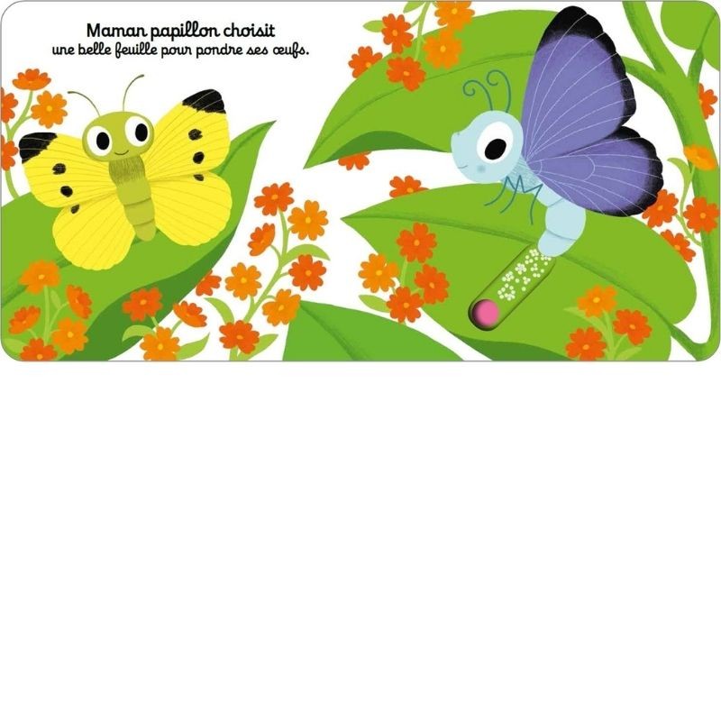 Bonjour petit papillon ! mes premières histoires animées Bonjour petit papillon ! mes premières histoires animées