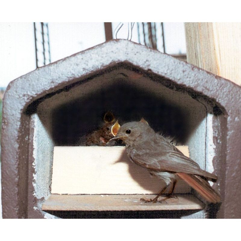 Nichoir semi-ouvert pour Rouge-gorge, Rouge-queue, ... - Schwegler (2HW - 157/3)