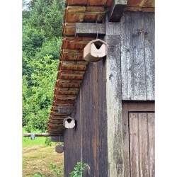 Nichoir semi-ouvert pour Rouge-gorge, Rouge-queue, ... - Schwegler (2HW - 157/3)