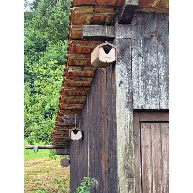 Nichoir semi-ouvert pour Rouge-gorge, Rouge-queue, ... - Schwegler (2HW - 157/3)