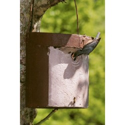 Nichoir pour Sittelle torchepot - 32mm - Schwegler (5KL - 182/5) Nichoir pour Sittelle torchepot - 32mm - Schwegler (5KL - 182/5)