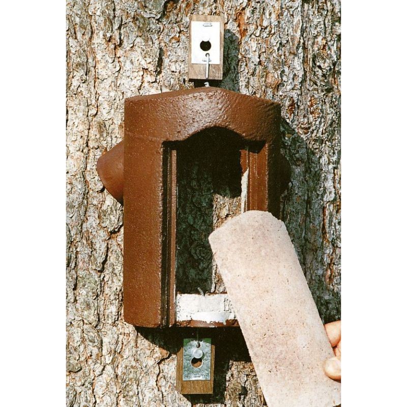 Nichoir pour grimpereaux en béton de bois avec face amovible - Schwegler (2B - 141/2)
