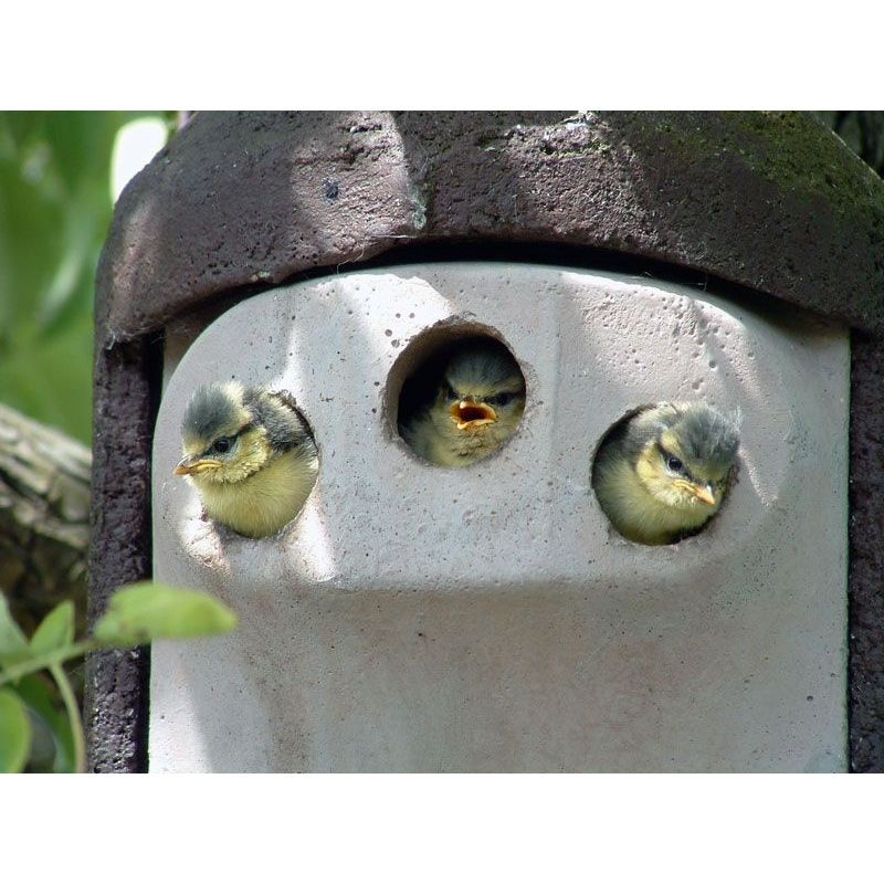 Nichoir protégé contre prédateurs - Trou d'envol triple 27mm - Schwegler (2GR - 221/1)
