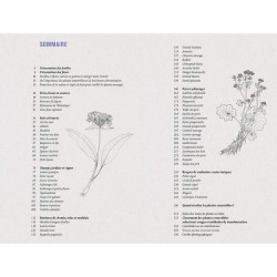 Plantes sauvages comestibles - Les 50 plantes essentielles et leurs usages Plantes sauvages comestibles - Les 50 plantes essentielles et leurs usages