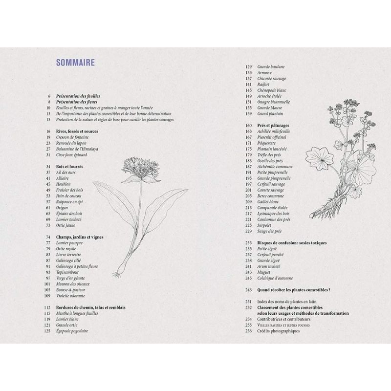 Plantes sauvages comestibles - Les 50 plantes essentielles et leurs usages Plantes sauvages comestibles - Les 50 plantes essentielles et leurs usages