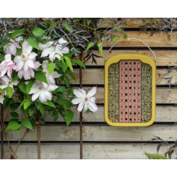 Gîte pour insectes en terre glaise et roseau - Schwegler (377/5)