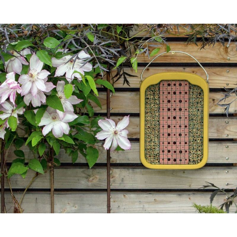 Gîte pour insectes en terre glaise et roseau - Schwegler (377/5)