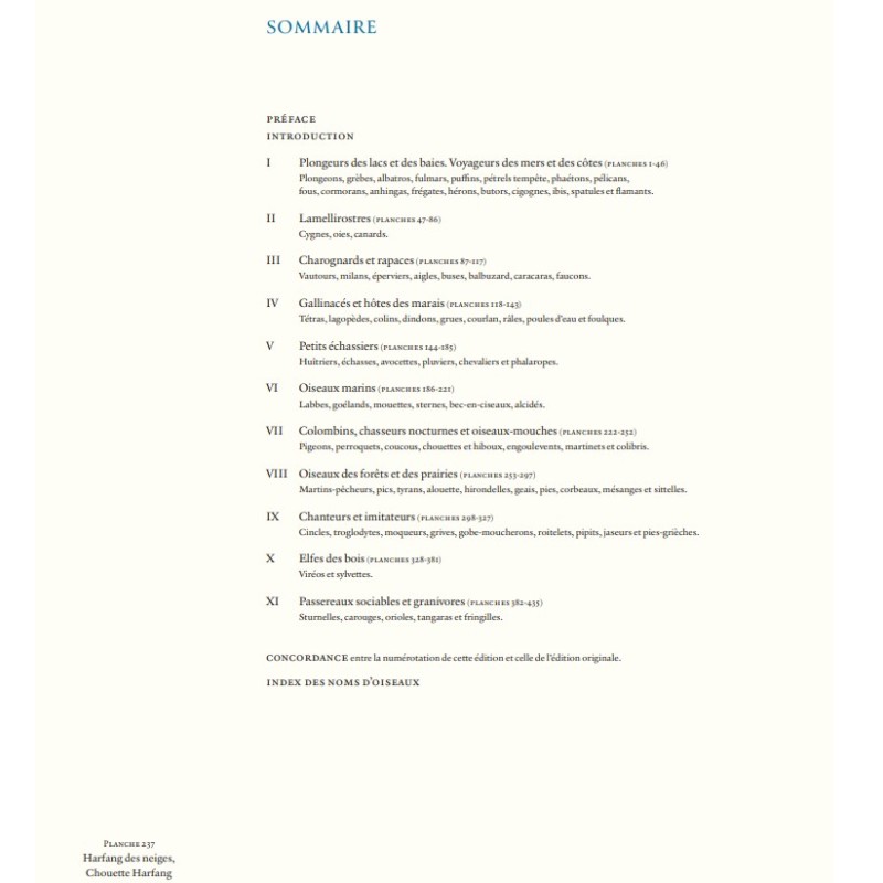 Le grand livre des Oiseaux d'Audubon Le grand livre des Oiseaux d'Audubon