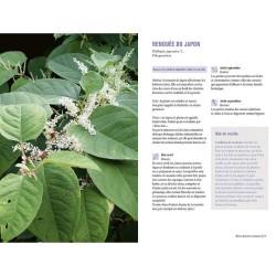 Plantes sauvages comestibles - Les 50 plantes essentielles et leurs usages Plantes sauvages comestibles - Les 50 plantes essentielles et leurs usages