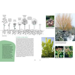 Créer son jardin résilient Créer son jardin résilient