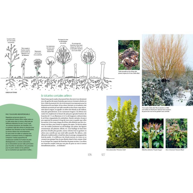 Créer son jardin résilient Créer son jardin résilient