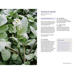 Plantes sauvages comestibles - Les 50 plantes essentielles et leurs usages Plantes sauvages comestibles - Les 50 plantes essentielles et leurs usages