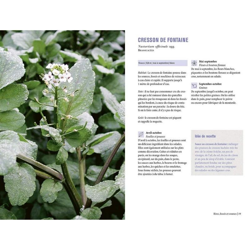 Plantes sauvages comestibles - Les 50 plantes essentielles et leurs usages Plantes sauvages comestibles - Les 50 plantes essentielles et leurs usages