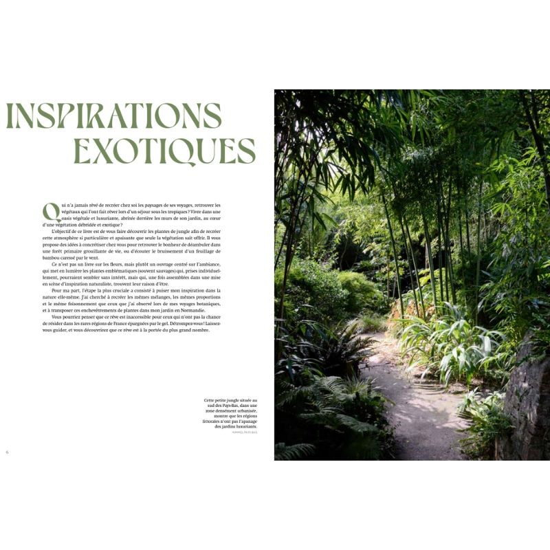 Jardins Jungle - Inspirations & plantes adaptées à nos climats Jardins Jungle - Inspirations & plantes adaptées à nos climats