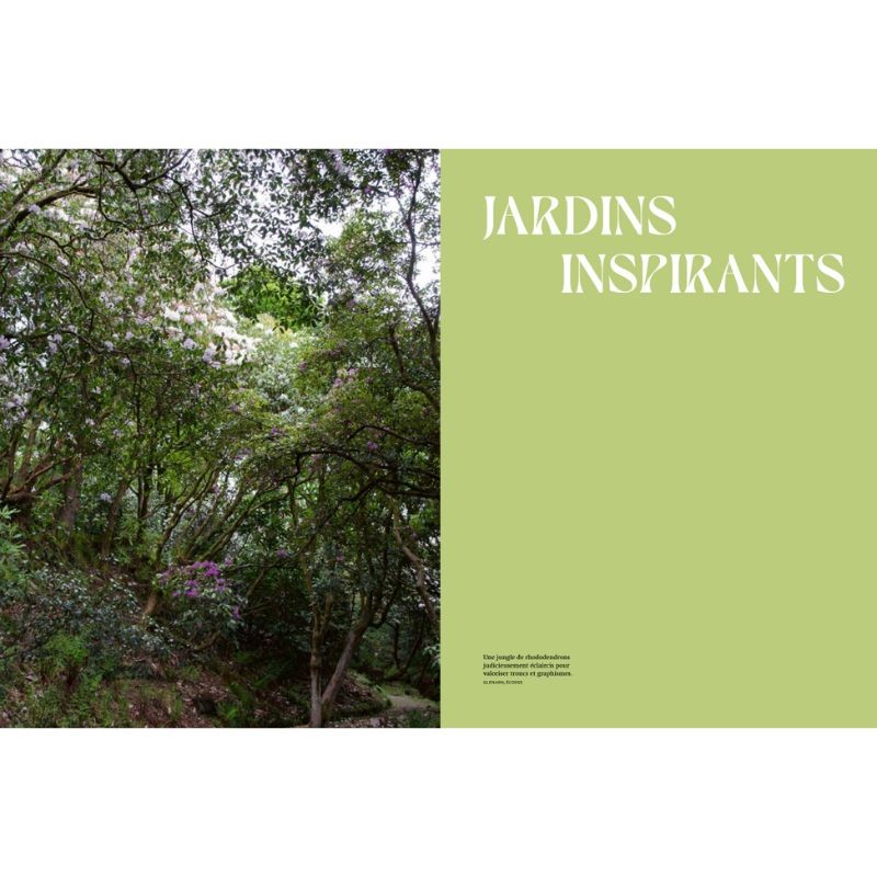 Jardins Jungle - Inspirations & plantes adaptées à nos climats Jardins Jungle - Inspirations & plantes adaptées à nos climats