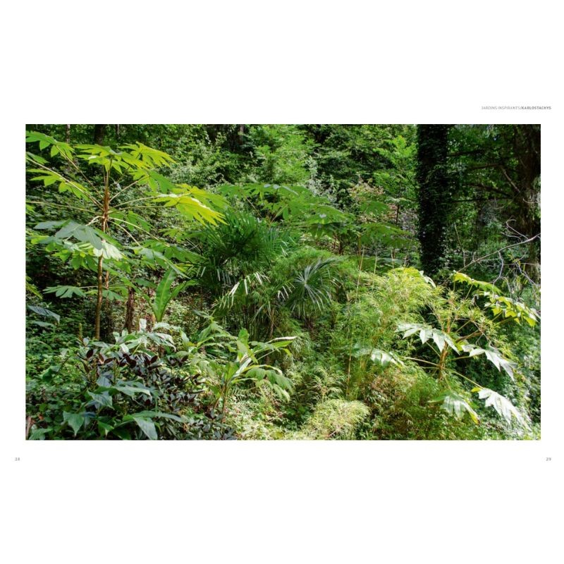 Jardins Jungle - Inspirations & plantes adaptées à nos climats Jardins Jungle - Inspirations & plantes adaptées à nos climats