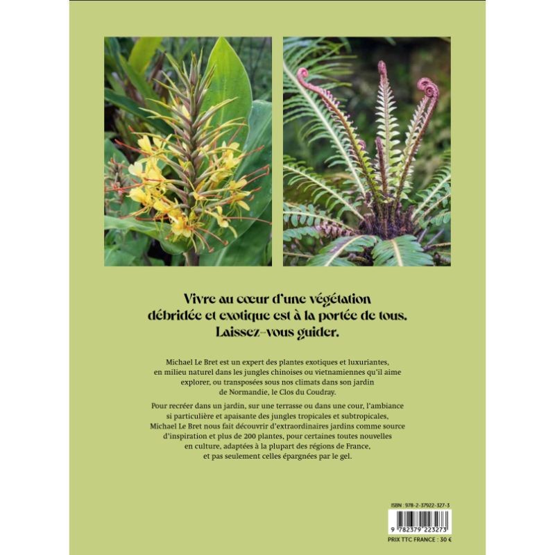 Jardins Jungle - Inspirations & plantes adaptées à nos climats Jardins Jungle - Inspirations & plantes adaptées à nos climats