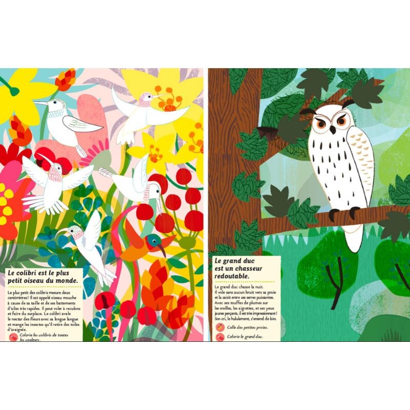 Les oiseaux du monde - Mon cahier nature Les oiseaux du monde - Mon cahier nature