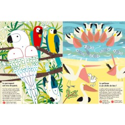 Les oiseaux du monde - Mon cahier nature Les oiseaux du monde - Mon cahier nature