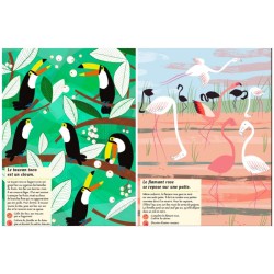 Les oiseaux du monde - Mon cahier nature Les oiseaux du monde - Mon cahier nature