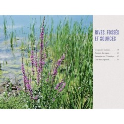 Plantes sauvages comestibles - Les 50 plantes essentielles et leurs usages Plantes sauvages comestibles - Les 50 plantes essentielles et leurs usages