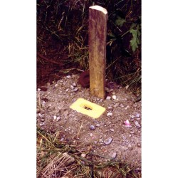 Ruche à bourdons souterraine - Schwegler (355/3)