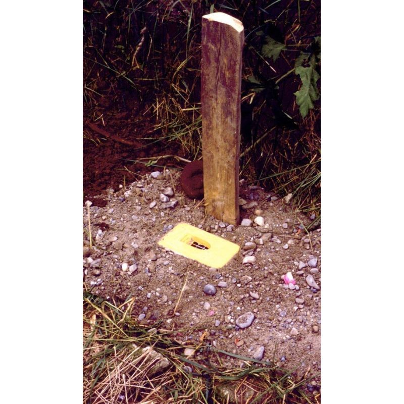 Ruche à bourdons souterraine - Schwegler (355/3)