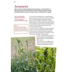Plantes sauvages comestibles - Reconnaître et cuisiner 40 plantes communes